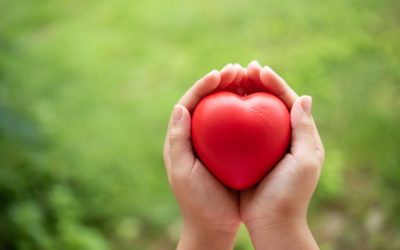 Two hands of child holding a red of rubber heart with green grass background. Showed the coordination, collaboration of business or requires sacrifice, attention, unity, charity, care or love of human